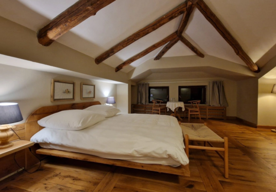 Apartment Attic